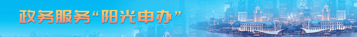 政务服务一网通办